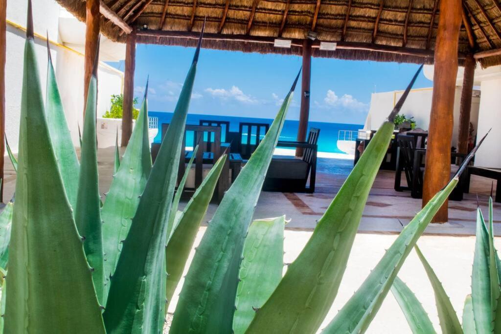 Ocean Front Villa, Locacion In Zone Apartamento