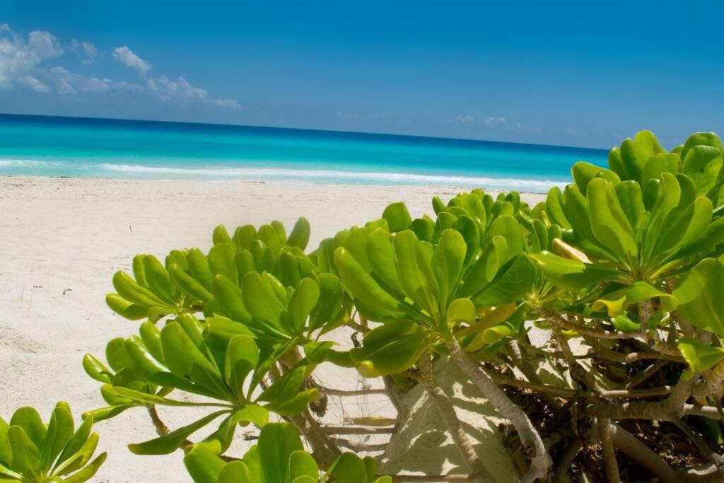 Ocean Front Villa, Locacion In Zone Apartamento *